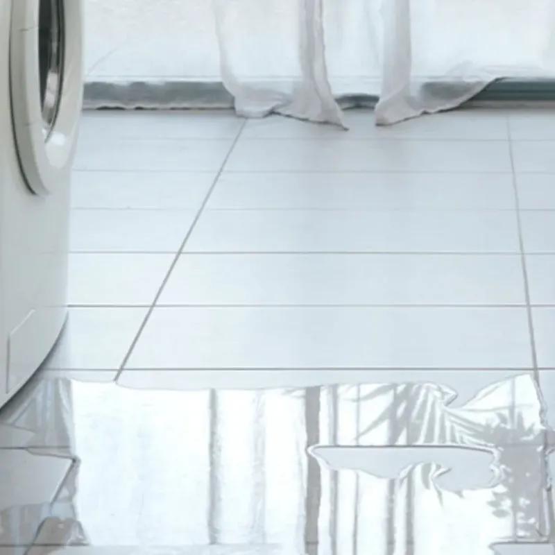 Appliance Leak Cleanup in Charleroi, PA