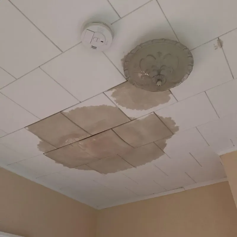 Ceiling Water Damage Repair in Charleroi, PA