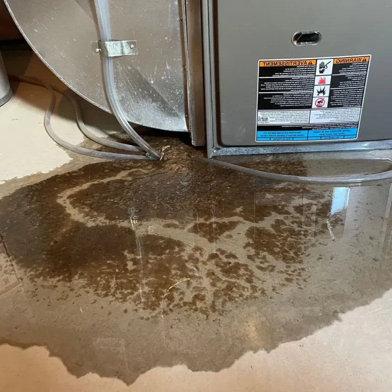 Pipe Burst and Leak Restoration in Charleroi, PA