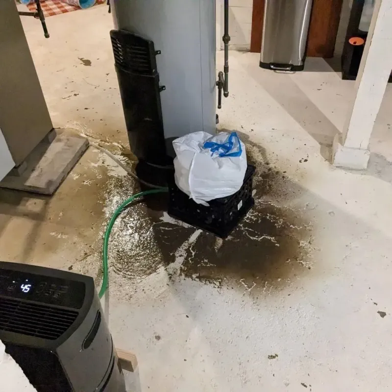 Sewage Backup Cleanup Service in Charleroi, PA